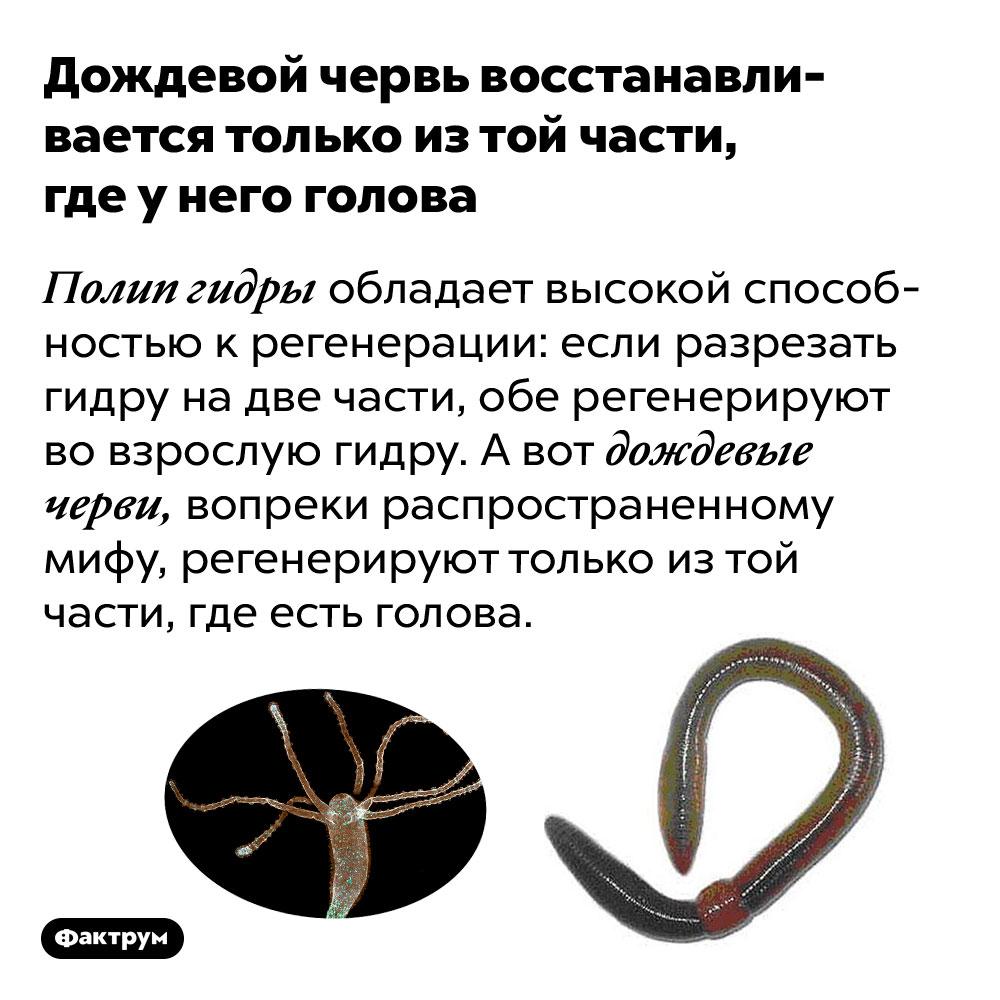Kra40at