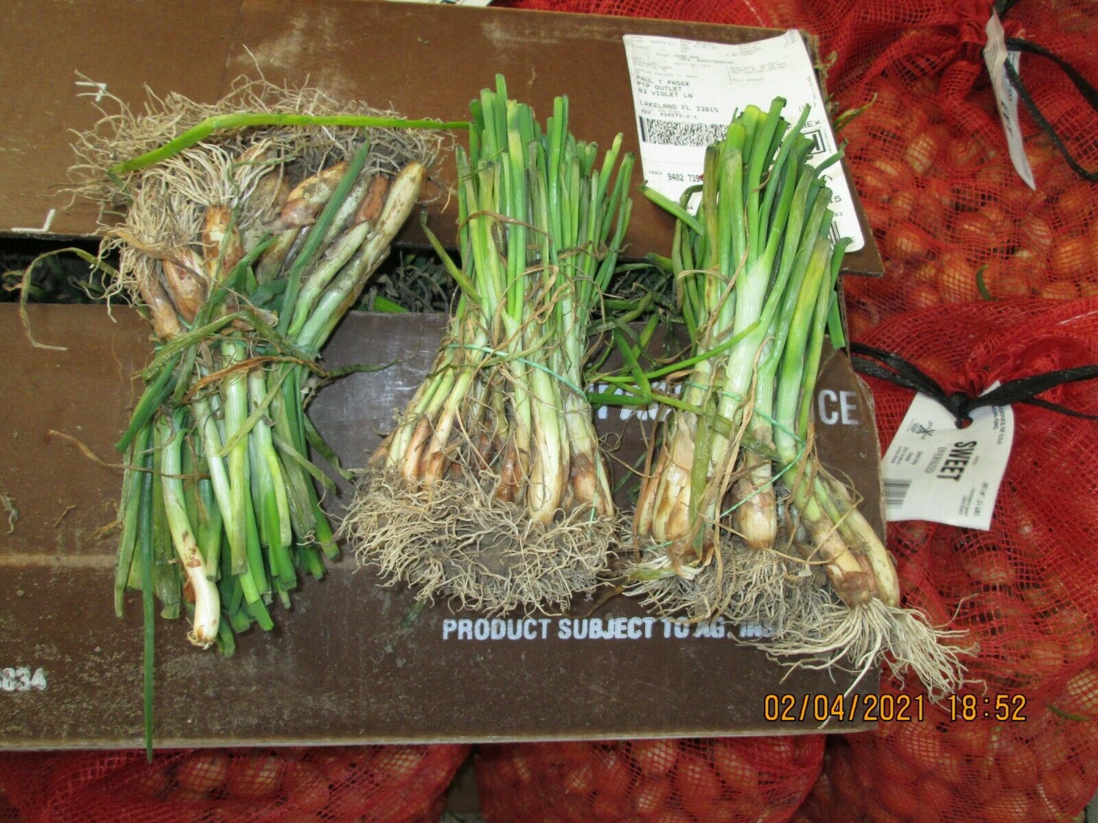 Kraken 16 onion